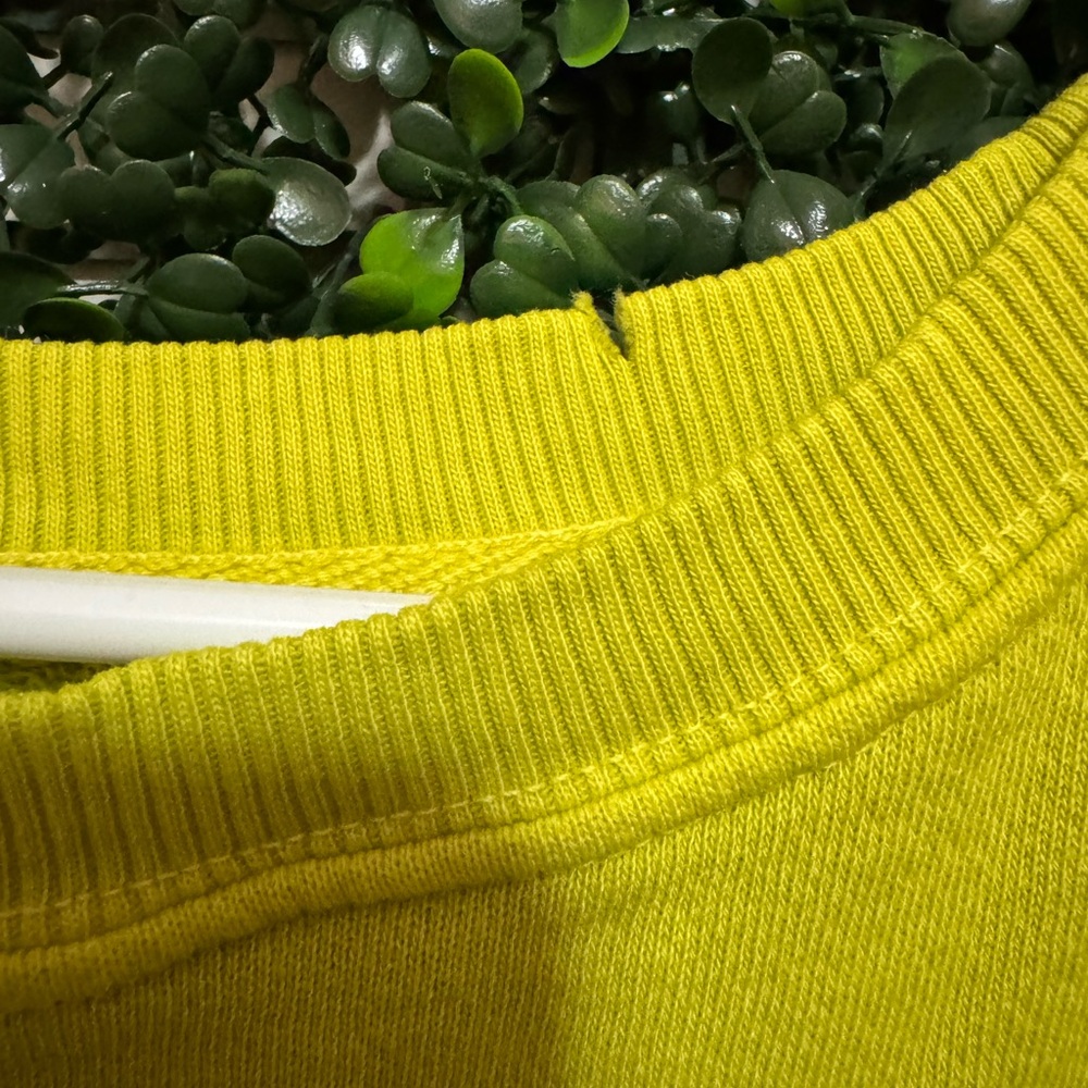 FREE PEOPLE We The Free Camden Sweatshirt - Picture 11 of 14